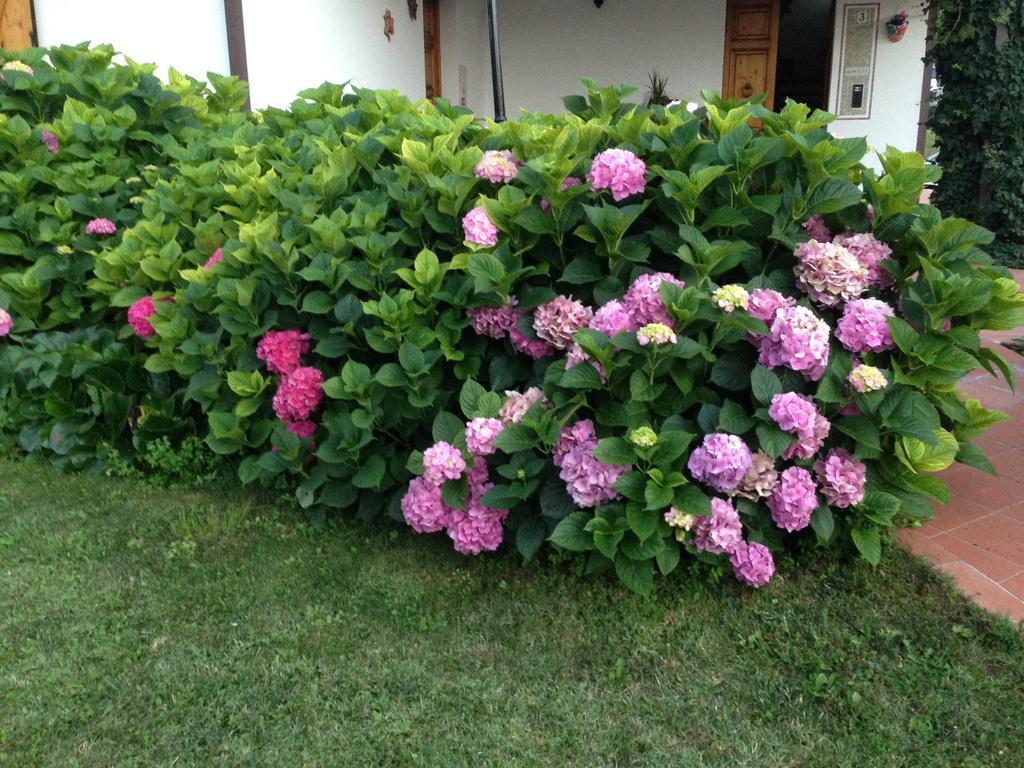B&B Margherita Le Fiabe SantʼAgata Feltria Exterior foto